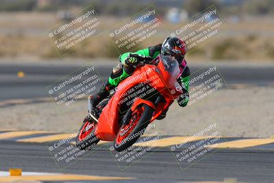 media/Jan-19-2024-Apex Assassins-CVMA Friday (Fri) [[74e94f2102]]/Trackday 1/Session 2 (Turn 11)/